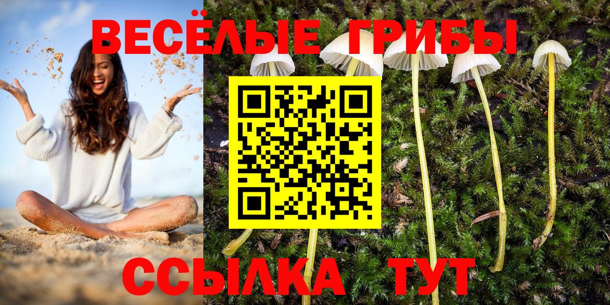 Асбест  Галлюциногенные грибы MAGIC MUSHROOMS  Псилоцибиновые грибы MAGIC MUSHROOMS  Вход с VPN 